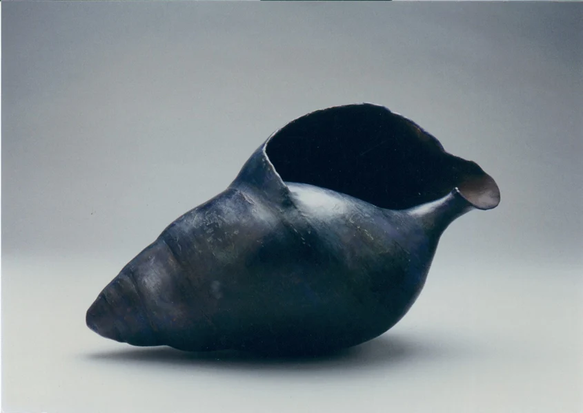 Conch