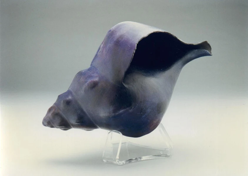 Purple Kellets Whelk