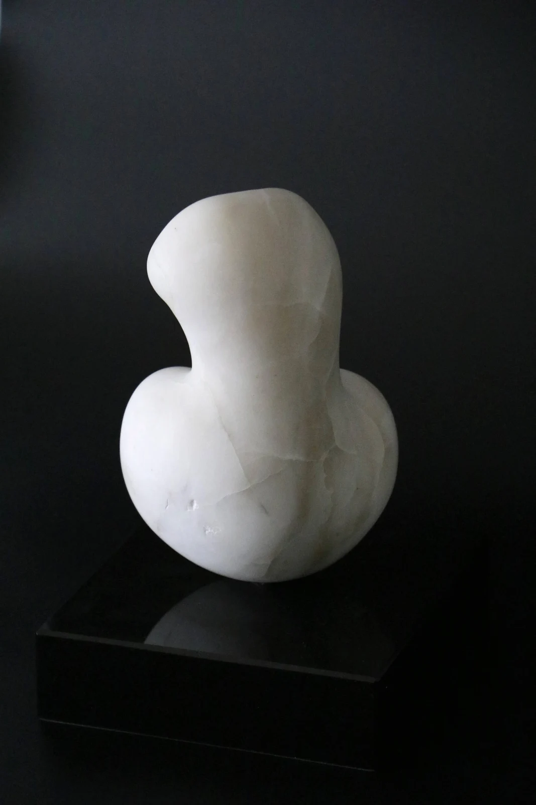 Torso — view 2