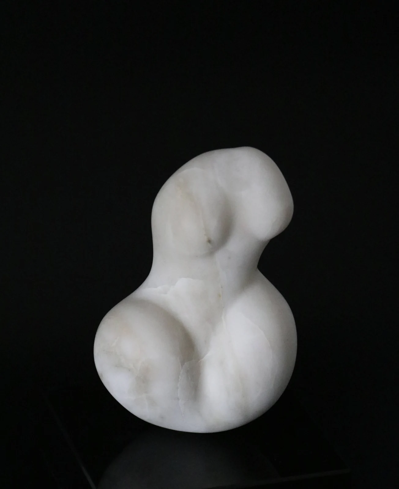 Torso
