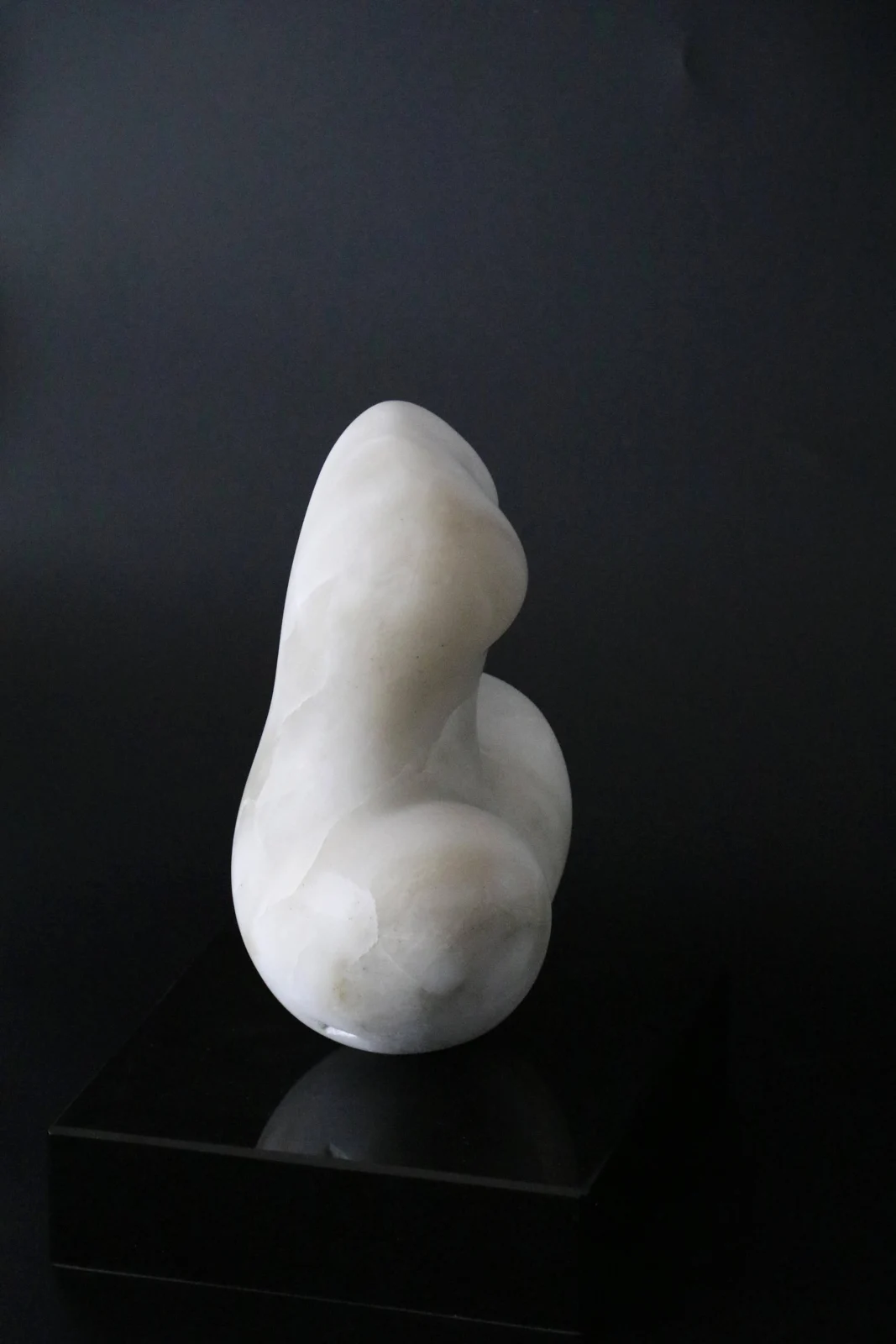 Torso — view 3